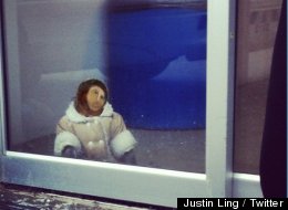 Ikea Monkey Or Beast Jesus?