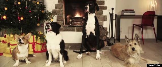 Jinglebarks