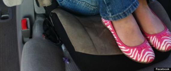 Little Pink Shoes Political Animal Little Pink Shoes