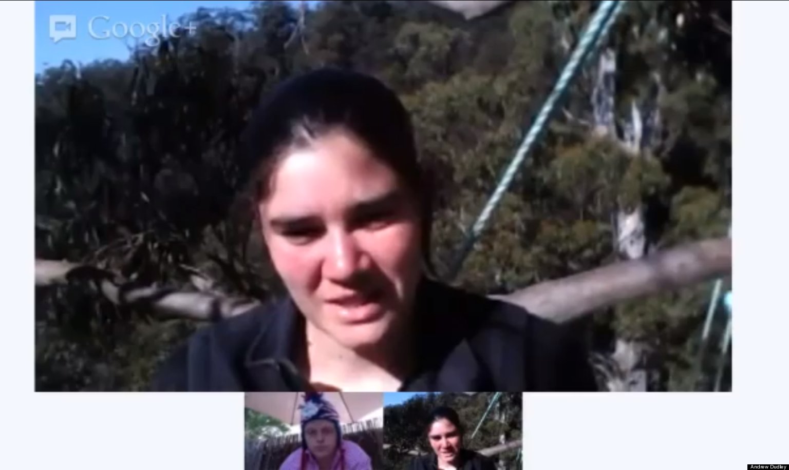 Living in a Tree for a Year, This Is Miranda Gibson's Story HuffPost