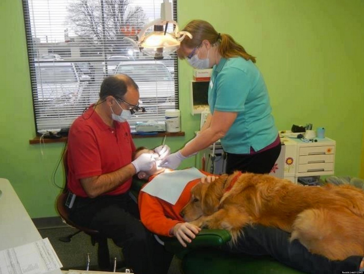 Dentist Paul Weiss Brings Dog, Brooke, To His Office To Calm Kids