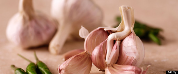 GARLIC