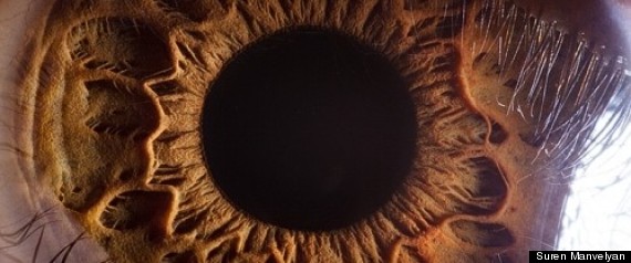 Human Eyes Photographs