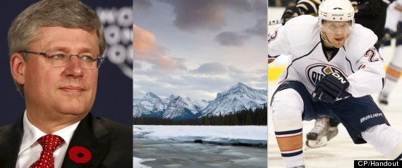 Google Stop Searches Alberta
