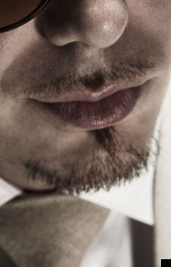 <HH--PHOTO--PITBULL--901487--HH>