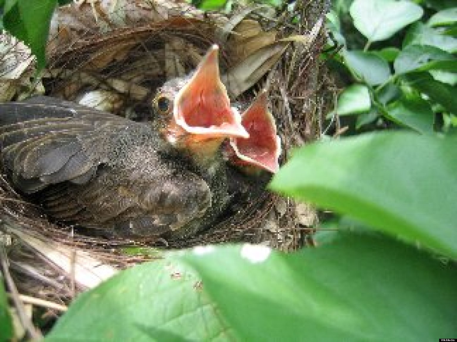 7 Signs That You re Suffering From Empty Nest Syndrome HuffPost