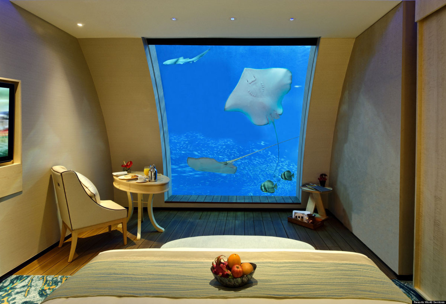 Aquarium Hotel Aquarium Hotel Room Under Water Maldives