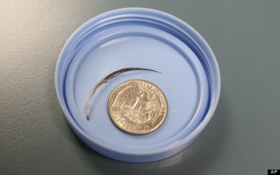 baby_swallowed_feather_1