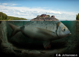 20 Dream-Like Photo Manipulations