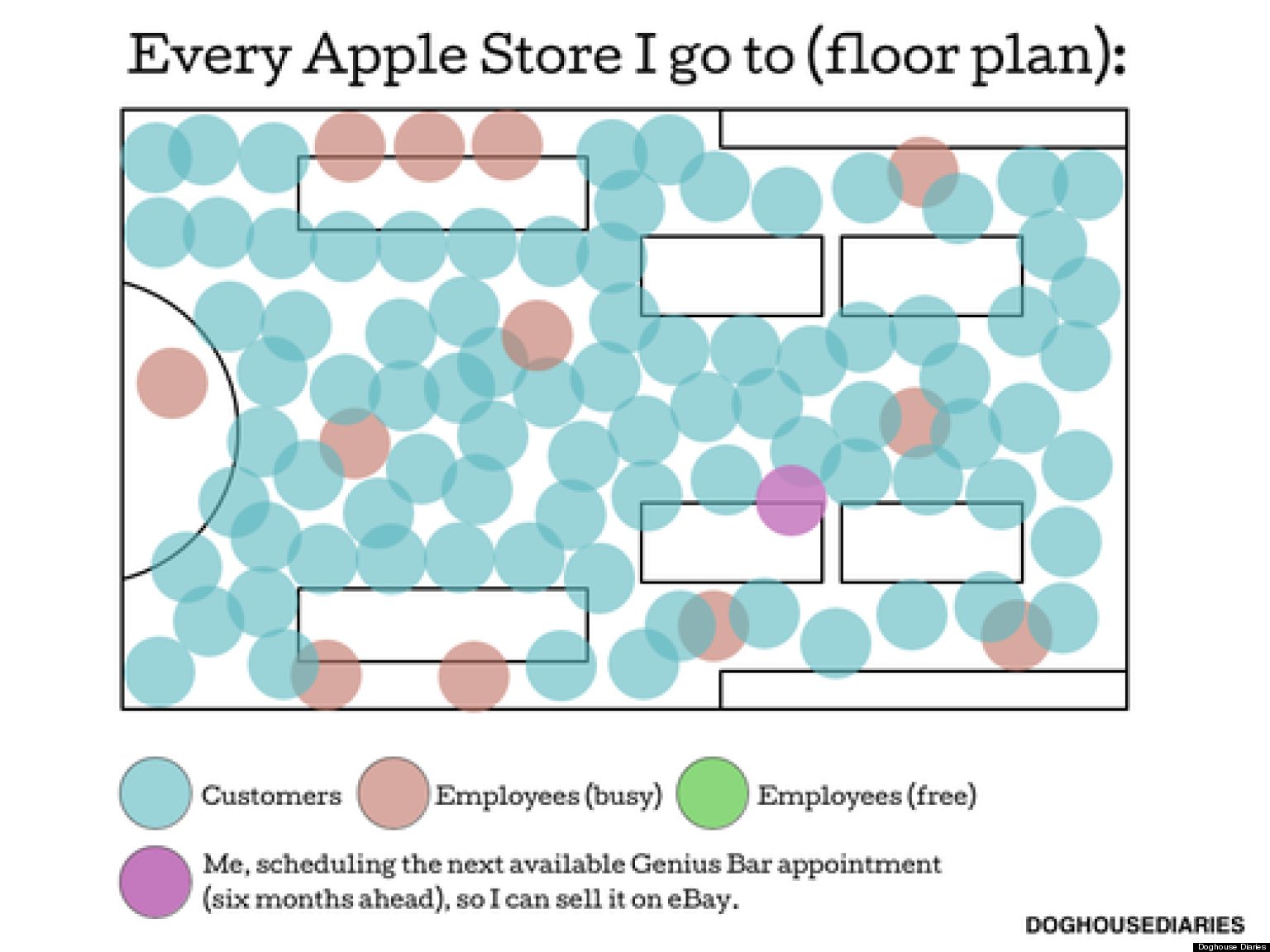 Doghouse Diaries Apple Store Floorplan (PICTURE) HuffPost