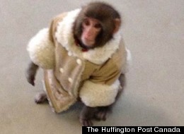 A Compendium Of The Week That Was In Style News