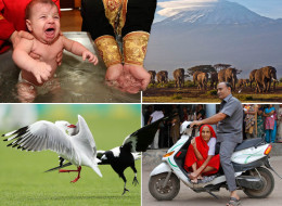 Pictures Of The Day Live: 18th December 2012