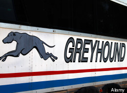 Greyhound Cuts Won't Be Stopped: Minister