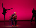 Adria Rolnik: The Men Dancers Stars Lubovitch, Askegard and Soto