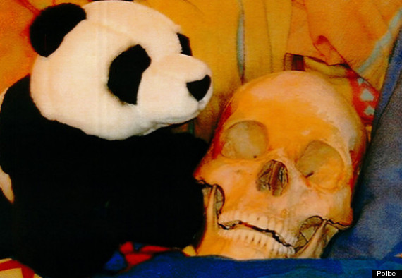 skull and teddy