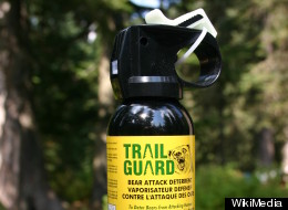 Disabled Woman Traumatized By Bear Spray Attack