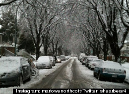 Vancouver Snowstorm Liveblog