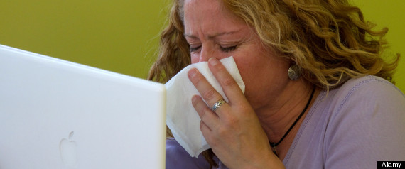 Flu Season