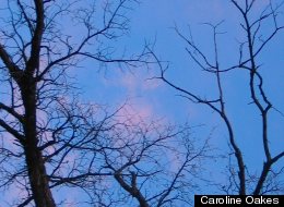 Discovering New Meaning Of Advent Through Ancient Pagan Practice