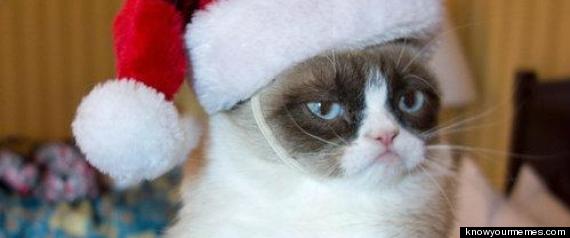Grumpy Cat