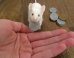 mice