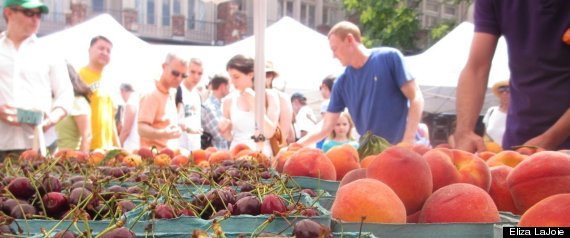Dc Food Production