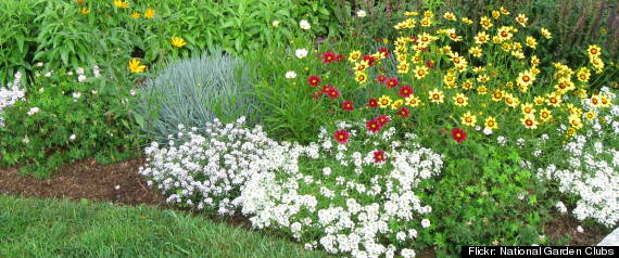 Garden Club
