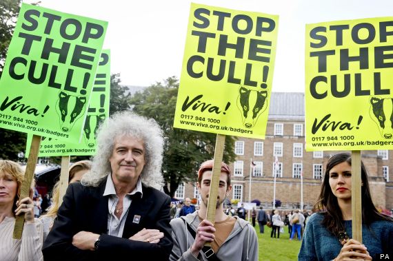 brian may