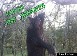 A Week In The Life Of A Professional Hunter
