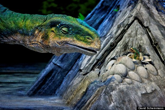 allosaurus