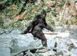 Rob Gaudet, Key Climate Bill Opponent, Apparently Way Into Sasquatch