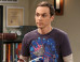 Bazinga! 'The Big Bang Theory' Inspires Bee Name