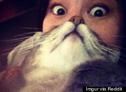 Cat + Woman = Real Life Cat Woman