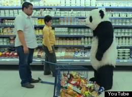 WATCH: Never Refuse Panda Cheese