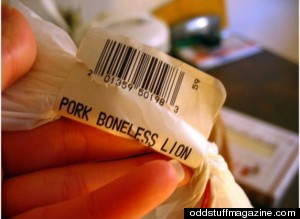 Funny Spelling Mistakes