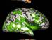 Big Bird, Brain Scans Yield Clues About Learning Disabilities