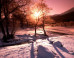 Photos To Remind Us How Wonderful Winter Is