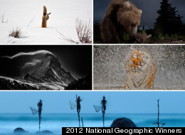 National Geographic Photo Comp Winners Capture Nature's Raw Beauty