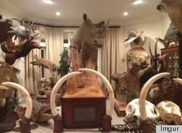 This Home Will Shock You