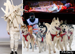 Pictures Of The Day Live: 8th January 2013