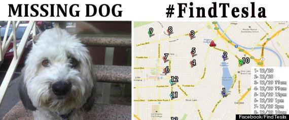 Findtesla