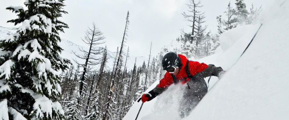 Whistler