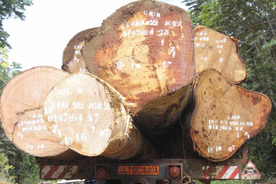 Logging