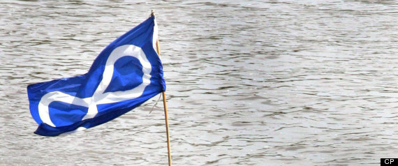 Metis Flag