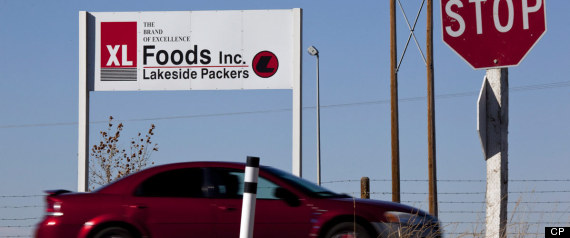 Xl Foods Warned