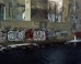 Finding Inner Peace Along The Bronx River