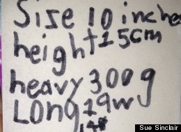 LOOK: What A 7-Year-Old Knows About Pregnancy