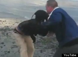 iPhone Thief Confronted By Victim, Violent Fight Ensues 