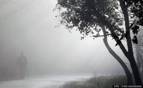 niebla