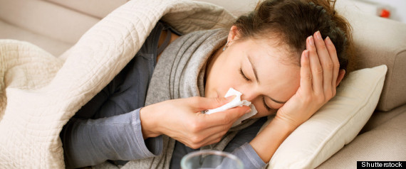 Flu Season